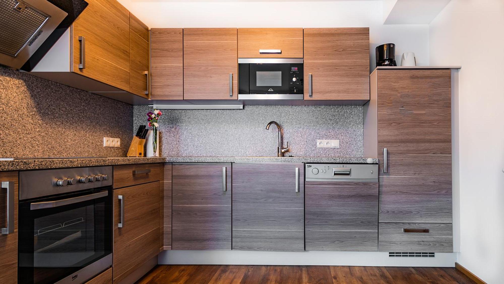 Cityhouse Apartments Schladming Oda fotoğraf